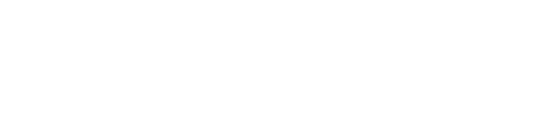 eShop.TecBird IT